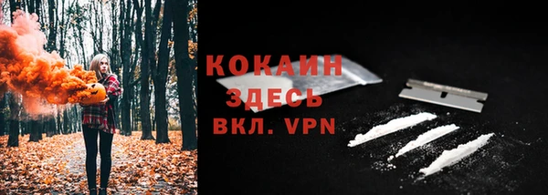 ПСИЛОЦИБИНОВЫЕ ГРИБЫ Дмитров