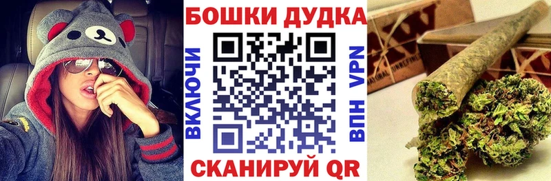 где купить наркоту  Грязовец  Каннабис Amnesia 
